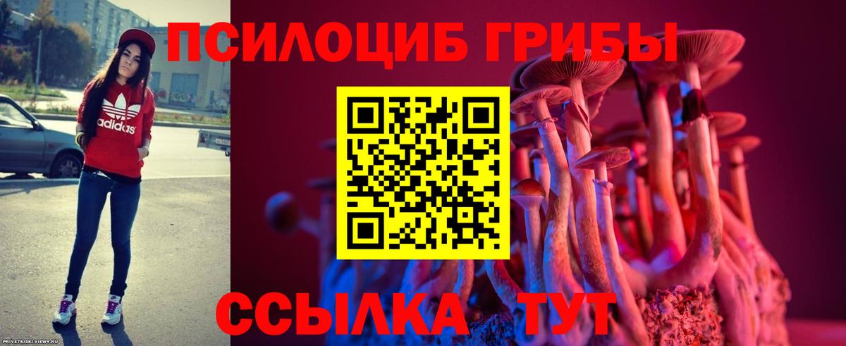 Псилоцибиновые грибы мухоморы  Вход с VPN  Ржев 